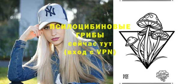 эйфоретик Богданович