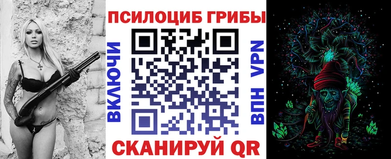 наркота  Верхотурье  Псилоцибиновые грибы мухоморы 